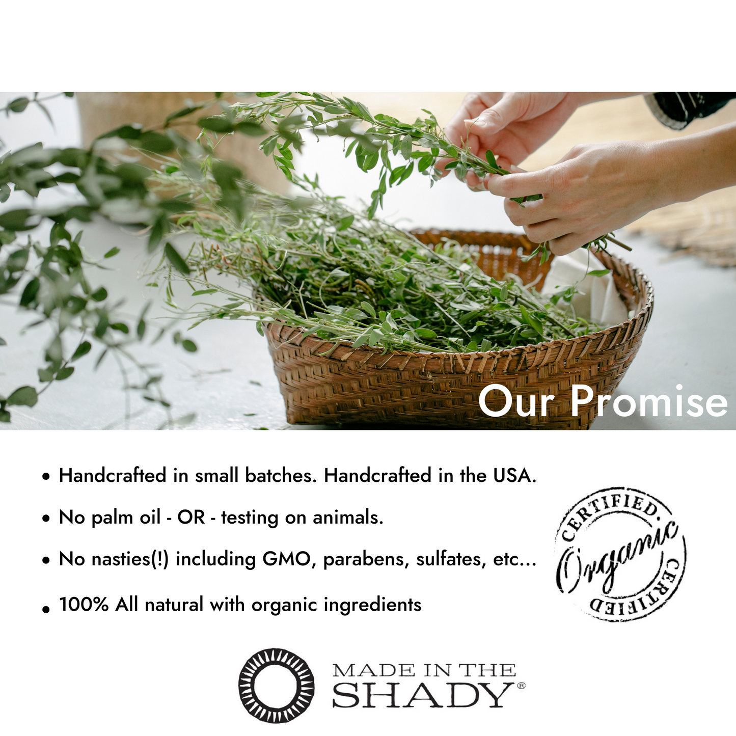 REFRESH Lemongrass•Spearmint•Stress and Anxiety Relief •Linen, Room and Body Spray (Pick Size)