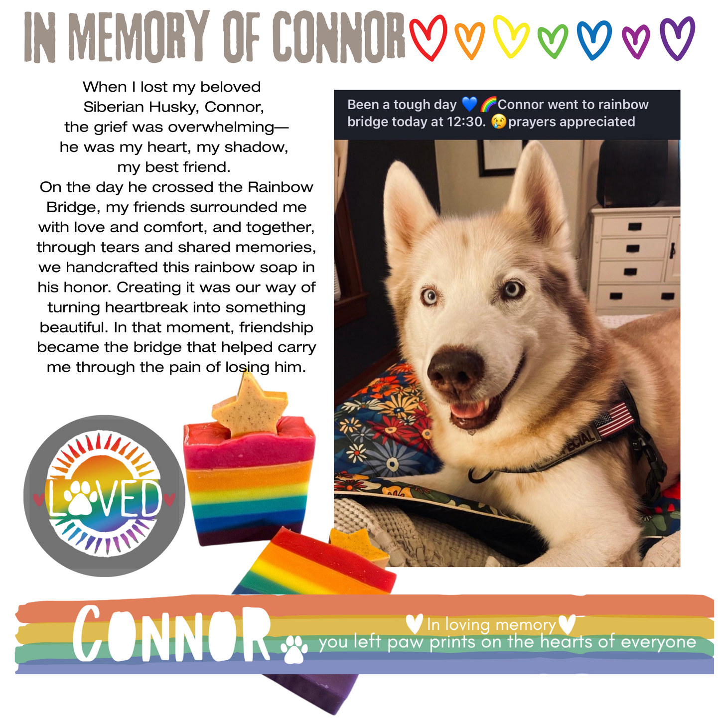 Pet Loss Sympathy Care Package