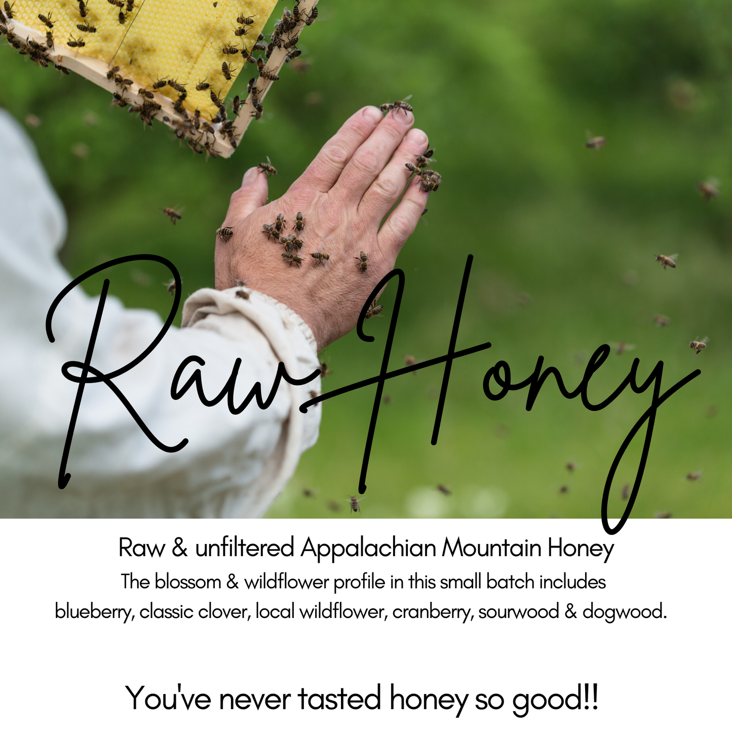Raw Honey • Wildflower Honey of the Appalachian Mountains | 2oz gift add on sample jar