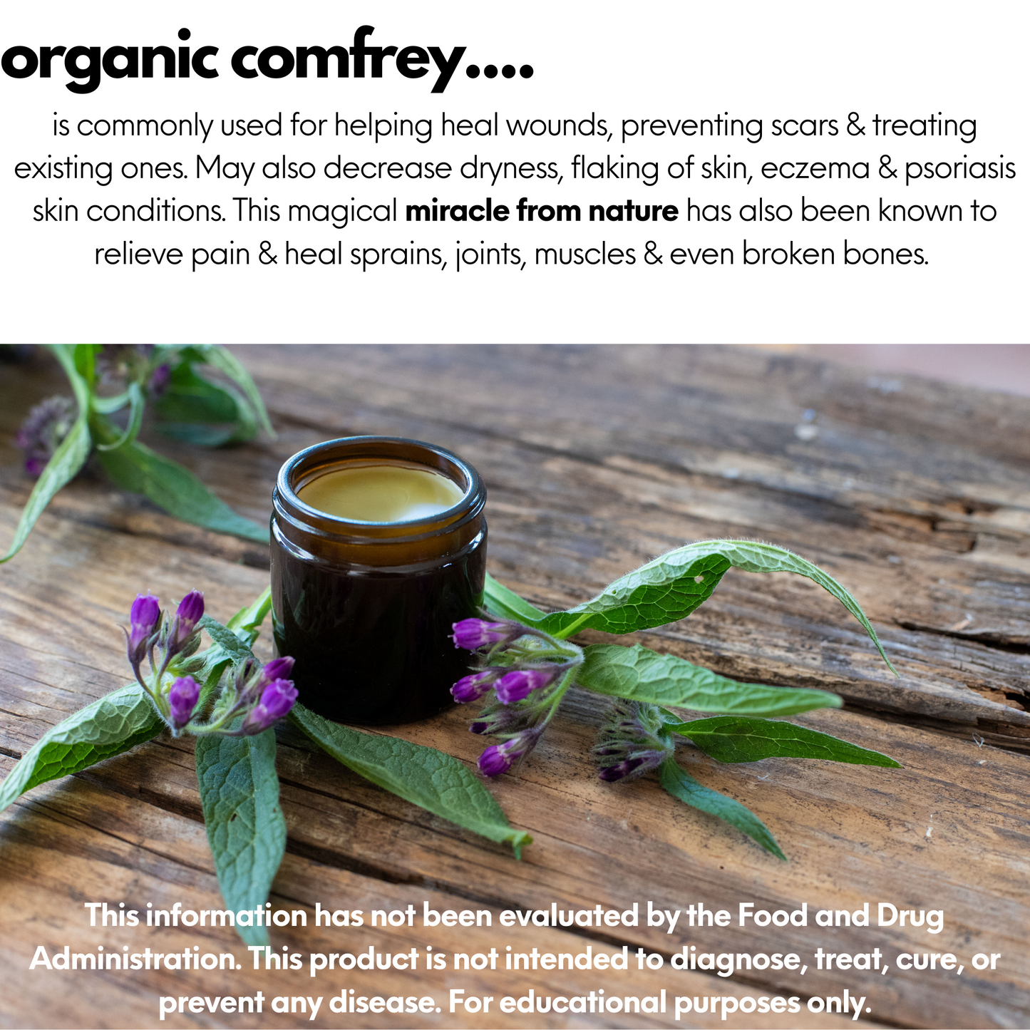 Herbal Healing Salve: Comfrey•Tea Tree•Lavender
