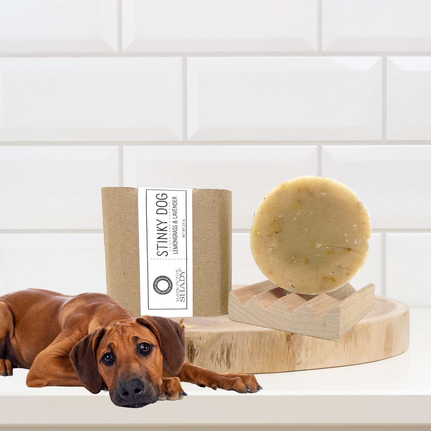 Stinky Dog Handcrafted Shampoo Bar – Natural Dog Soap Made in USA (3.5 oz)