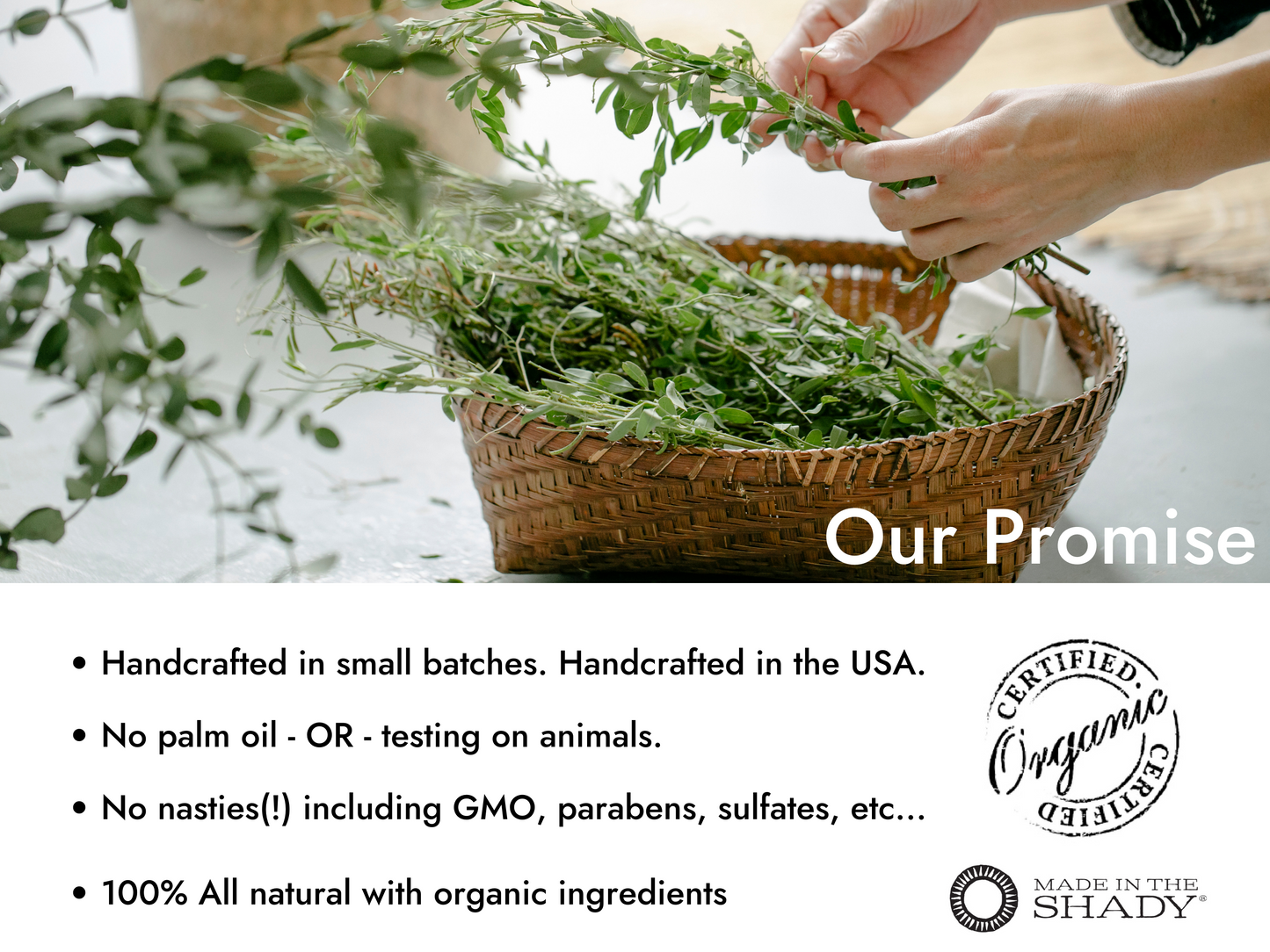 Made In The Shady Handcrafted in small batches. Handcrafted in the the USA
