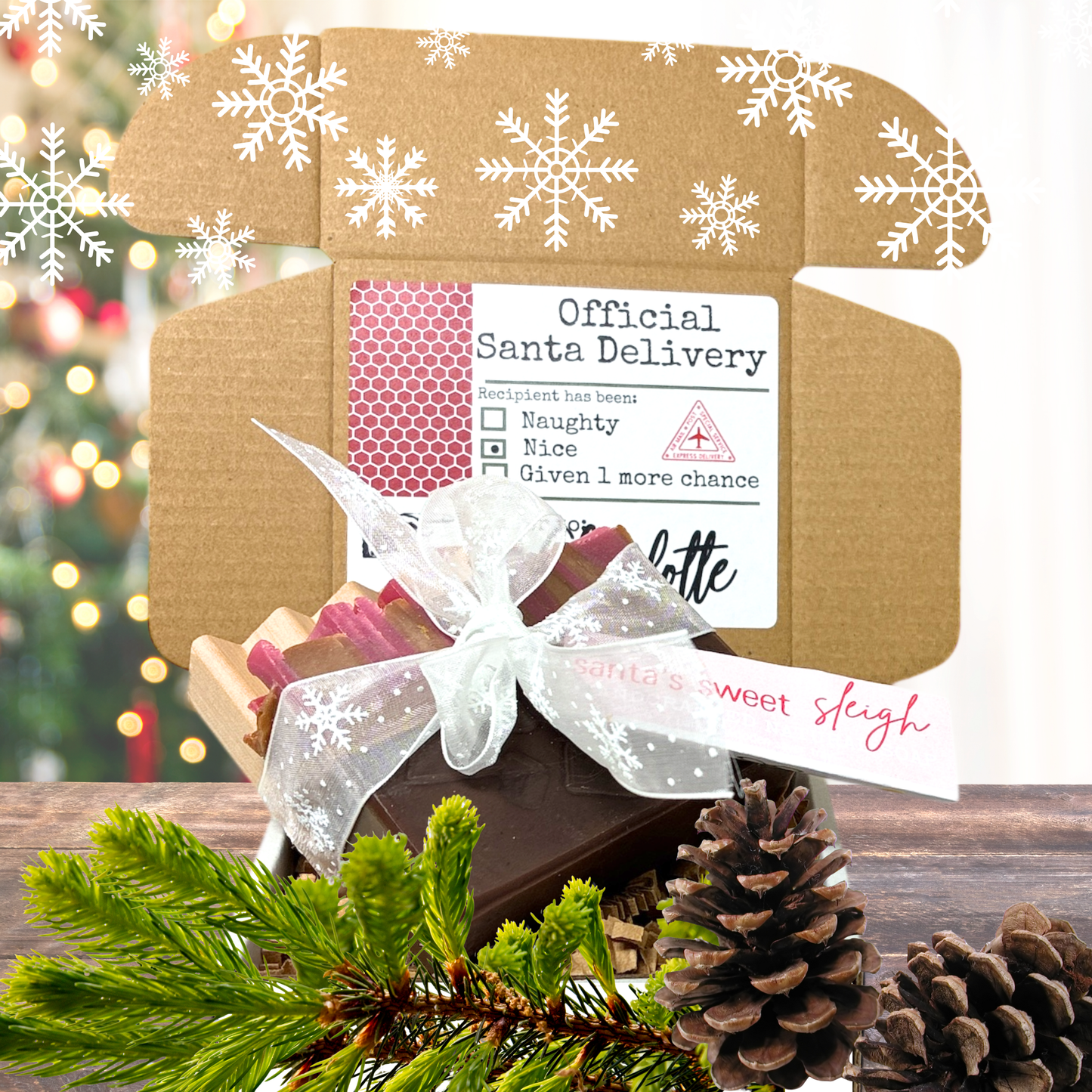 Naughty or Nice Santa Gift • Santa’s Sweet Sleigh Soap & Tray Set