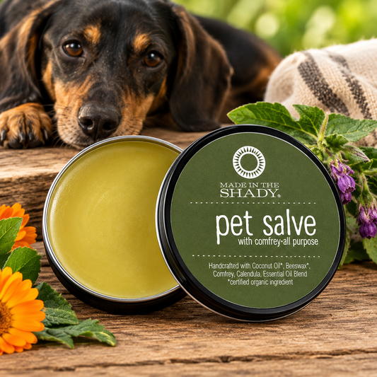 Pet Comfrey Salve