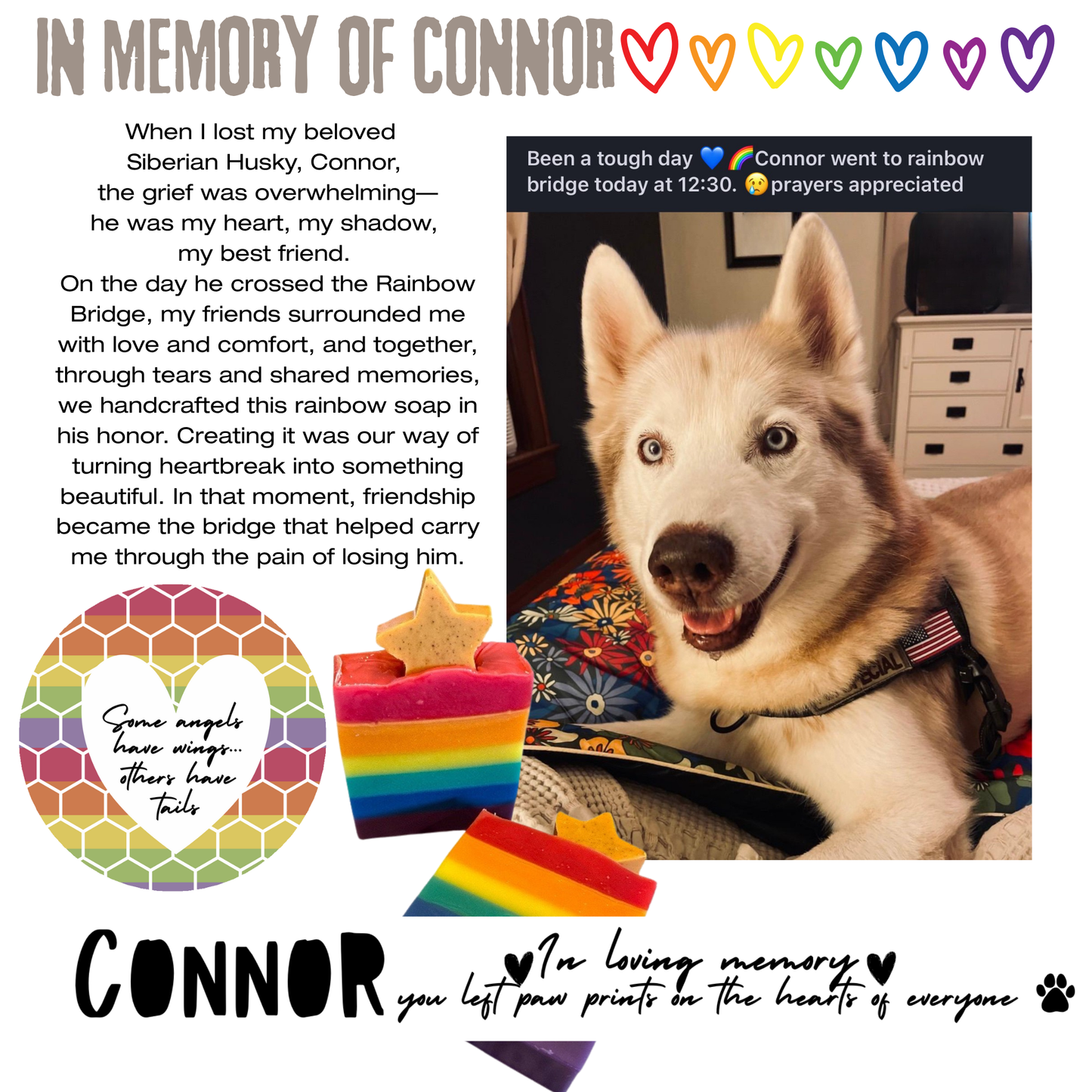 Pet Loss Sympathy Care Package