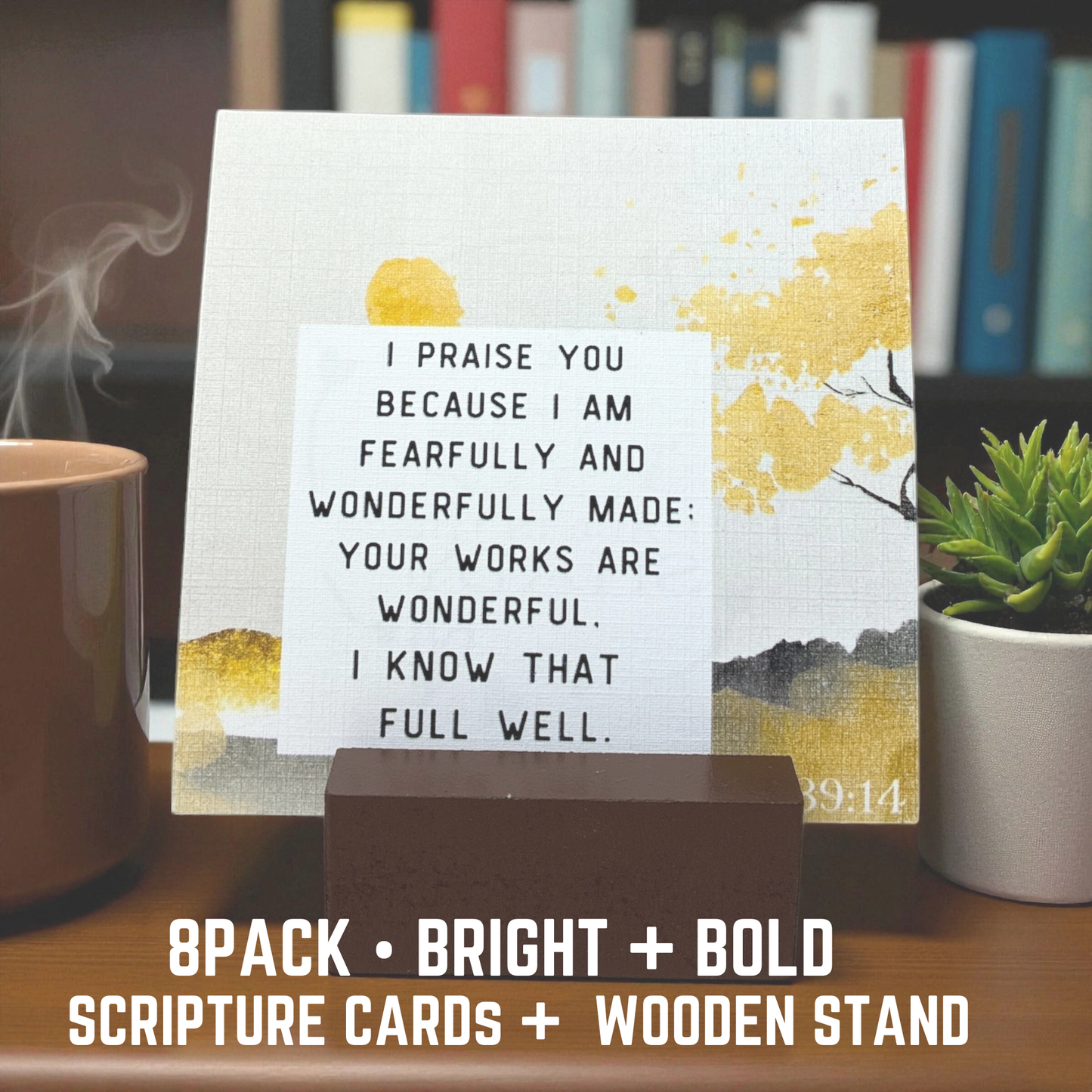 Watercolor Scripture Card Gift Set • Nature Edition - OR - Bold + Bright (8pack)