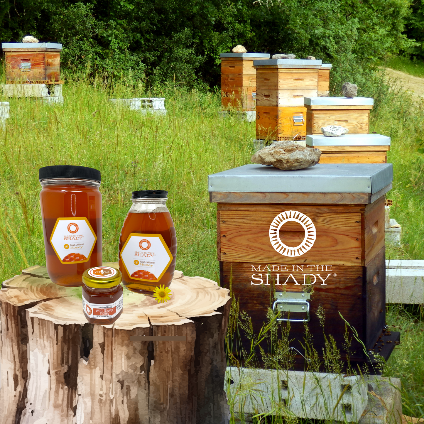 Raw Honey• Wildflower Honey of the Appalachian Mountains | 4 Sizes to Pick From