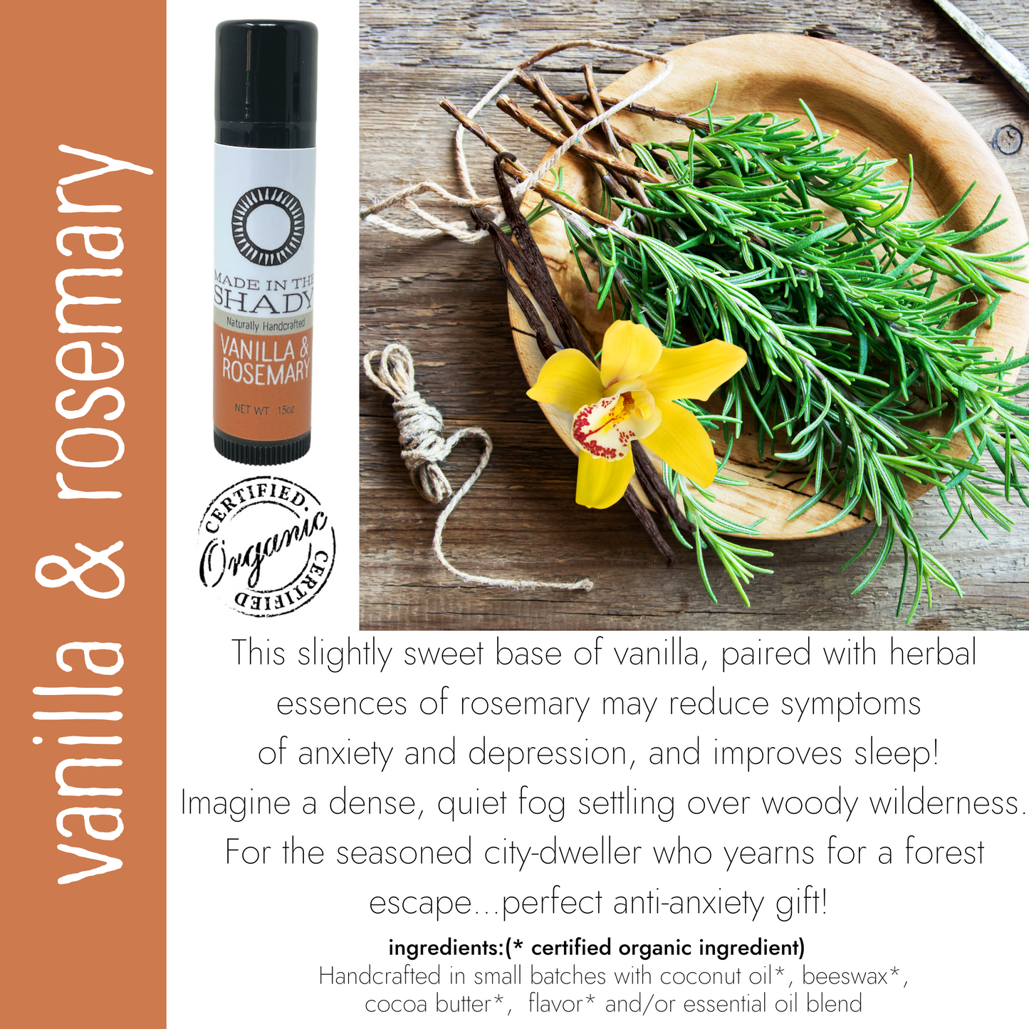 Best Seller Organic Lip Balm Collection includes Vanilla Rosemary Lip Balm